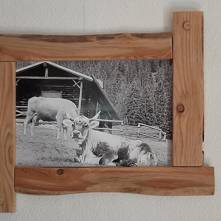 Fewo Holzwurm Braunlage Dış mekan fotoğraf